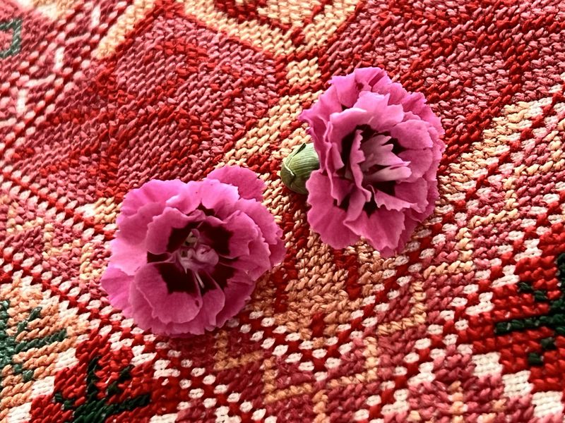 Close-up of red cross-stitch embroidery with two carnations resting on it
